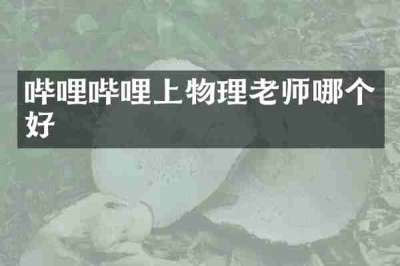 哔哩哔哩上物理老师哪个好