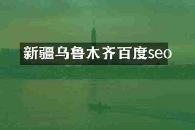 新疆乌鲁木齐百度seo