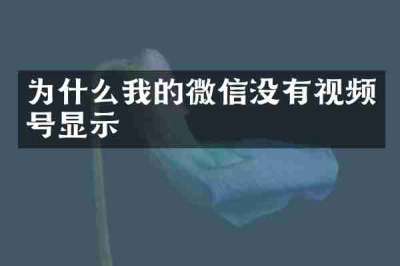 为什么我的微信没有视频号显示