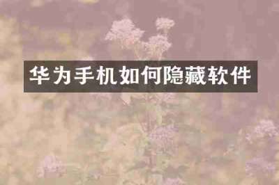 华为手机如何隐藏软件