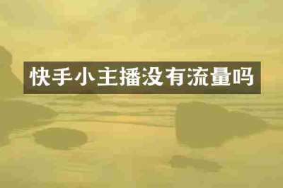 快手小主播没有流量吗