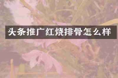 头条推广红烧排骨怎么样