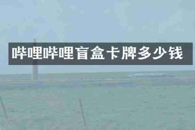 哔哩哔哩盲盒卡牌多少钱