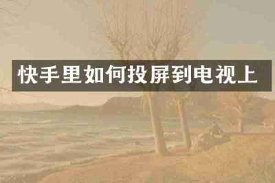 快手里如何投屏到电视上