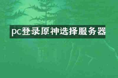 pc登录原神选择服务器
