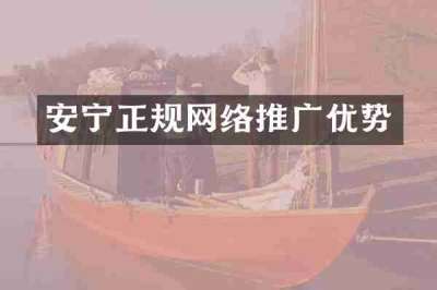 安宁正规网络推广优势
