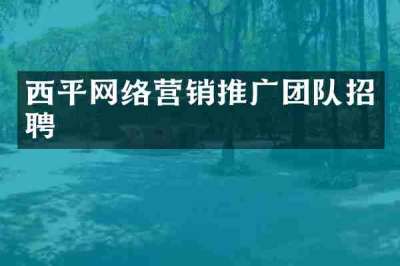 西平网络营销推广团队招聘