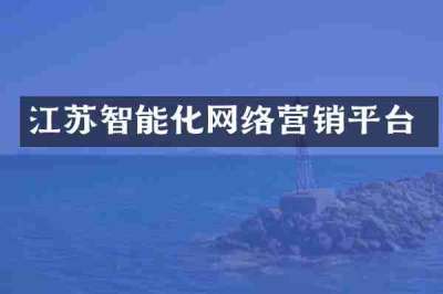 江苏智能化网络营销平台