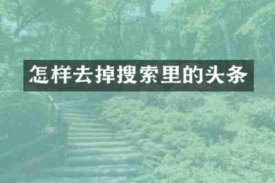 怎样去掉搜索里的头条