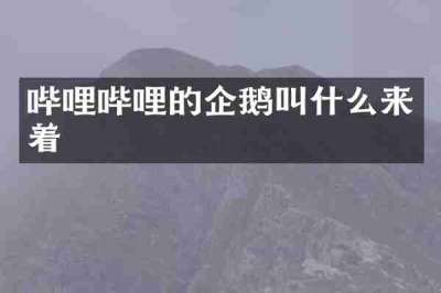 哔哩哔哩的企鹅叫什么来着