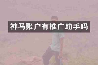 神马账户有推广助手吗