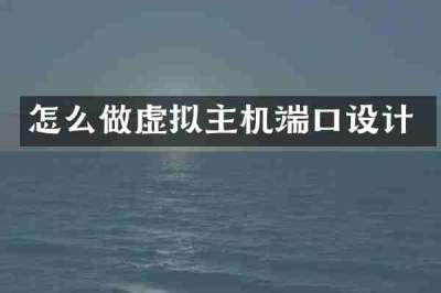 怎么做虚拟主机端口设计