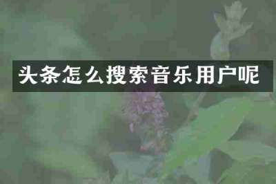 头条怎么搜索音乐用户呢