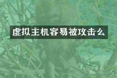 虚拟主机容易被攻击么