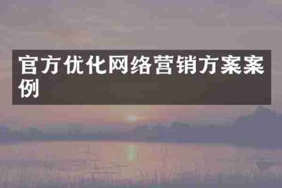 官方优化网络营销方案案例