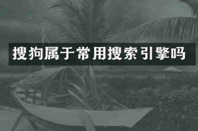 搜狗属于常用搜索引擎吗