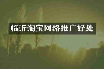临沂淘宝网络推广好处