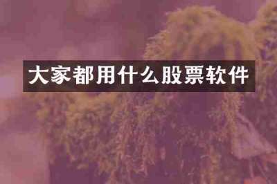 大家都用什么股票软件