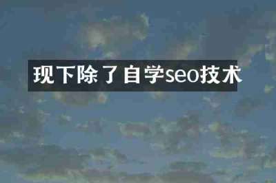 现下除了自学seo技术