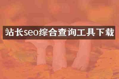 站长seo综合查询工具下载