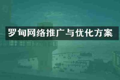 罗甸网络推广与优化方案