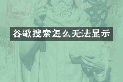谷歌搜索怎么无法显示