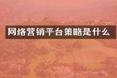 网络营销平台策略是什么