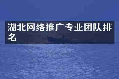 湖北网络推广专业团队排名