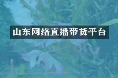 山东网络直播带货平台