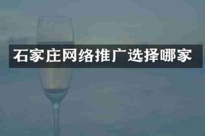 石家庄网络推广选择哪家