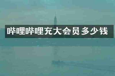 哔哩哔哩充大会员多少钱