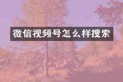 微信视频号怎么样搜索