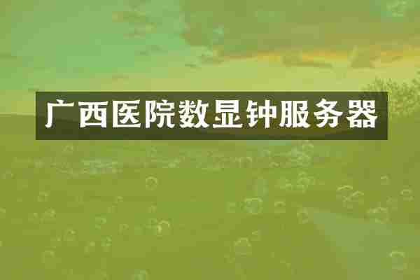 广西医院数显钟服务器