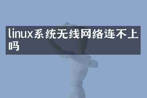 linux系统无线网络连不上网吗