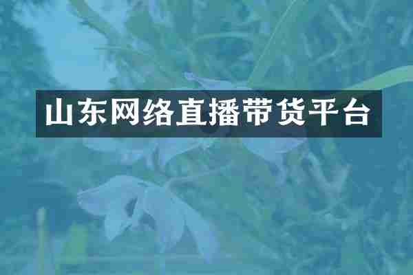 山东网络直播带货平台