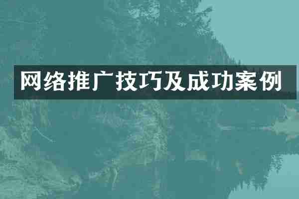 网络推广技巧及成功案例