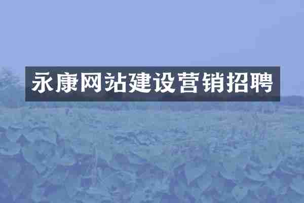 永康网站建设营销招聘