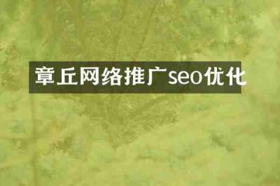 章丘网络推广seo优化