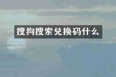 搜狗搜索兑换码什么