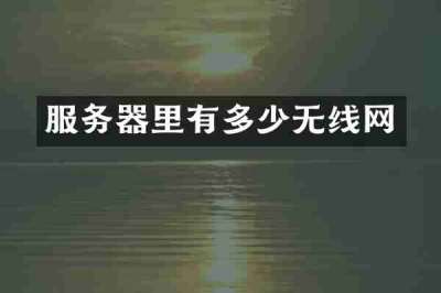 服务器里有多少无线网