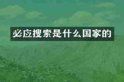必应搜索是什么国家的