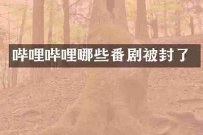 哔哩哔哩哪些番剧被封了