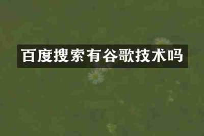 百度搜索有谷歌技术吗