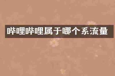 哔哩哔哩属于哪个系流量