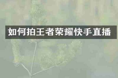 如何拍王者荣耀快手直播