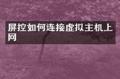 屏控如何连接虚拟主机上网
