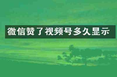 微信赞了视频号多久显示