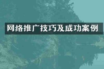 网络推广技巧及成功案例