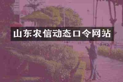 山东农信动态口令网站