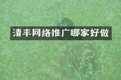 清丰网络推广哪家好做